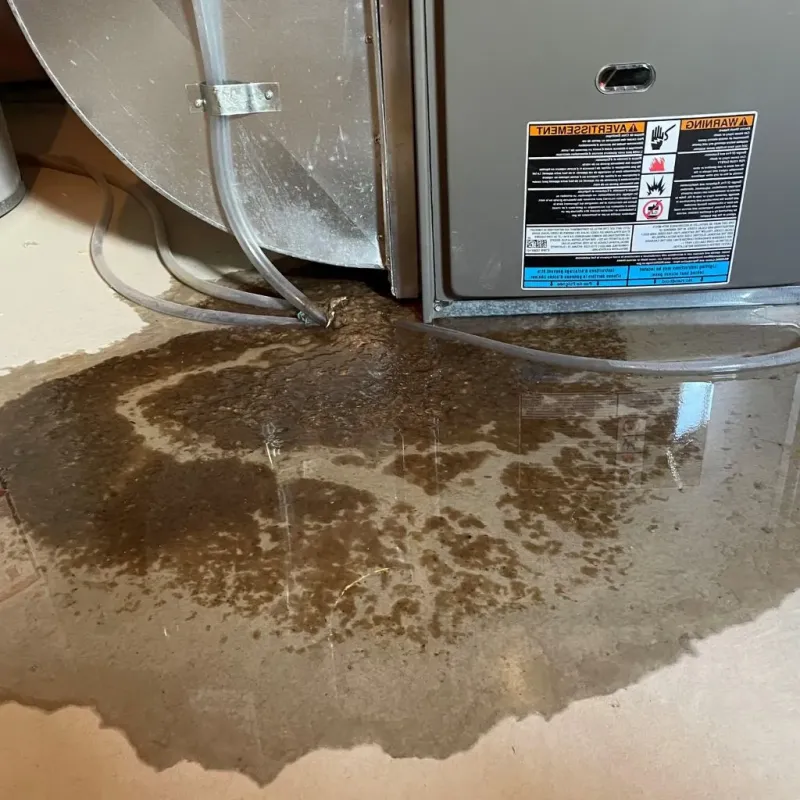 Pipe Burst and Leak Restoration in Duncan, OK